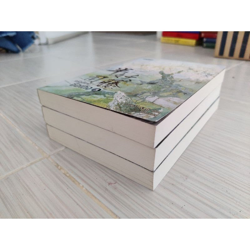 ครึ่งปีศาจซือเถิง เล่ม 1-3 จบ ที่คั่นครบ