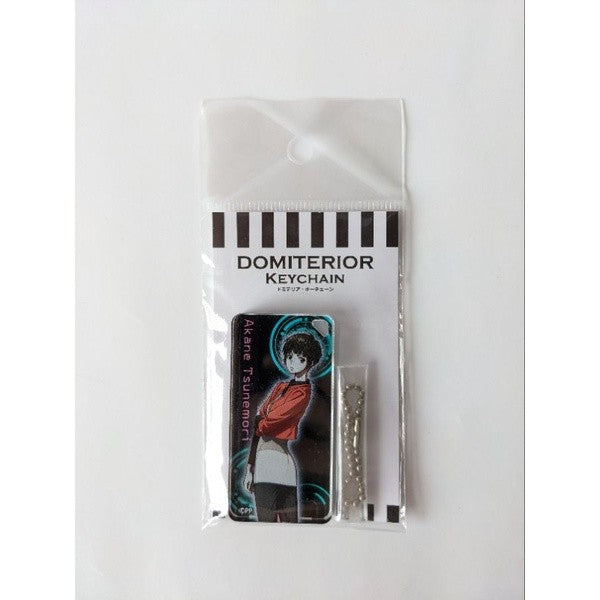 Psycho-Pass Character Panel and Strap พวงกุญแจและการ์ดตัวละครไซโคพาส