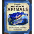 Preorder หนังสือ The Field Guide to Ocean Animals: Explore the Great Barrier Reef by Phyllis Perry ปกแข็ง