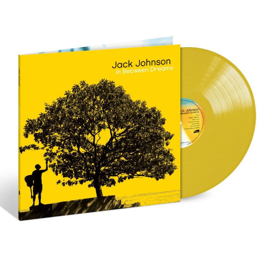 พร้อมส่ง🔥 แผ่นเสียง Vinyl LP Jack Johnson - In Between Dreams Vinyl แผ่นไวนิล