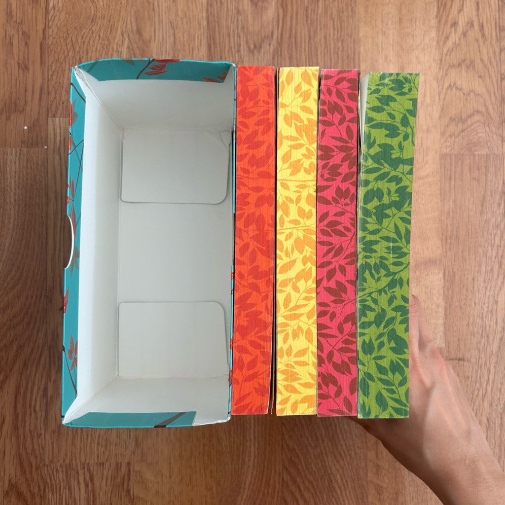 Box Set 4-Book Paperback The Hunger Games, Catching Fire, Mockingjay, The Ballad of Songbirds - Suzanne Collins